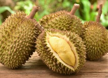 Musang Valley Agro Sdn Bhd